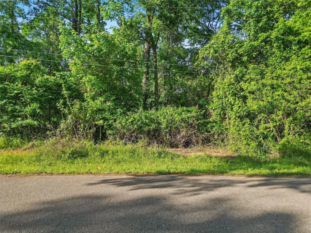 Arrowhead Drive Conroe, TX 77316