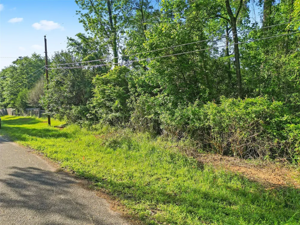Arrowhead Drive Conroe, TX 77316