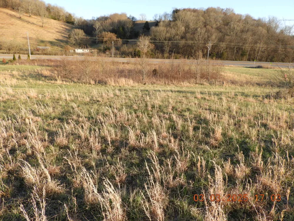 0 Pulaski Hwy Frankewing, TN 38459