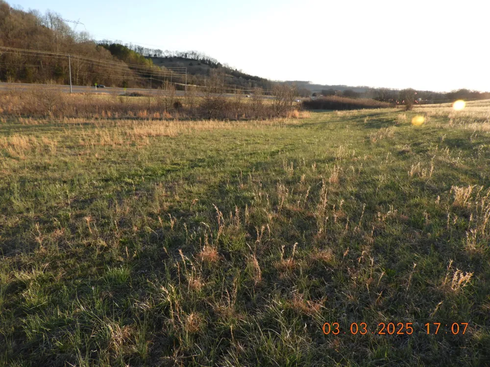 0 Pulaski Hwy Frankewing, TN 38459