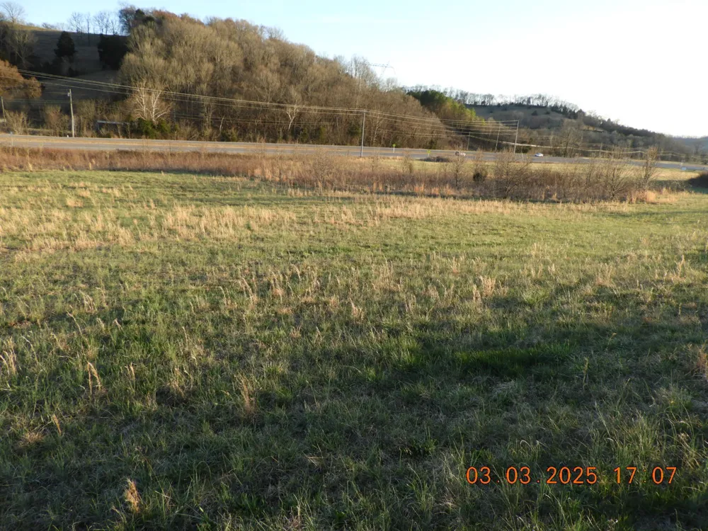 0 Pulaski Hwy Frankewing, TN 38459