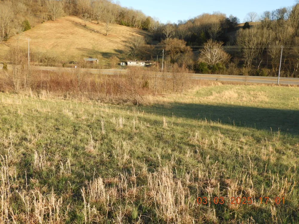 0 Pulaski Hwy Frankewing, TN 38459