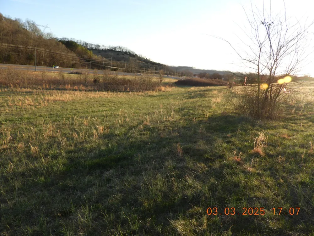 0 Pulaski Hwy Frankewing, TN 38459