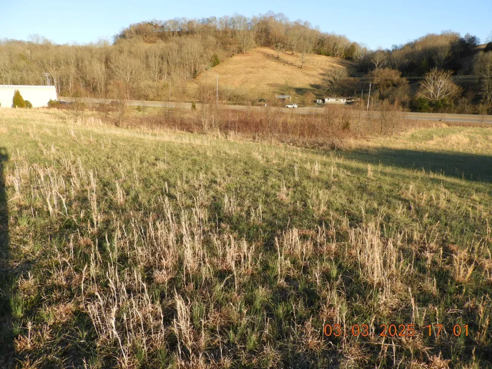 0 Pulaski Hwy Frankewing, TN 38459