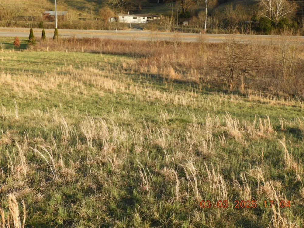 0 Pulaski Hwy Frankewing, TN 38459