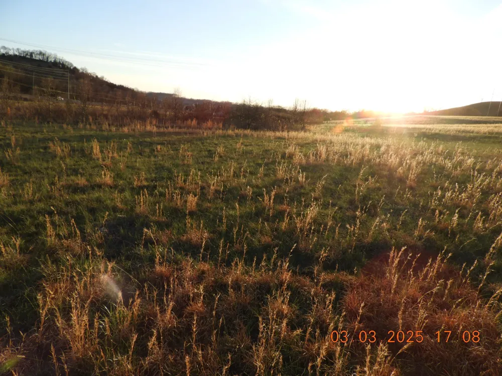 0 Pulaski Hwy Frankewing, TN 38459