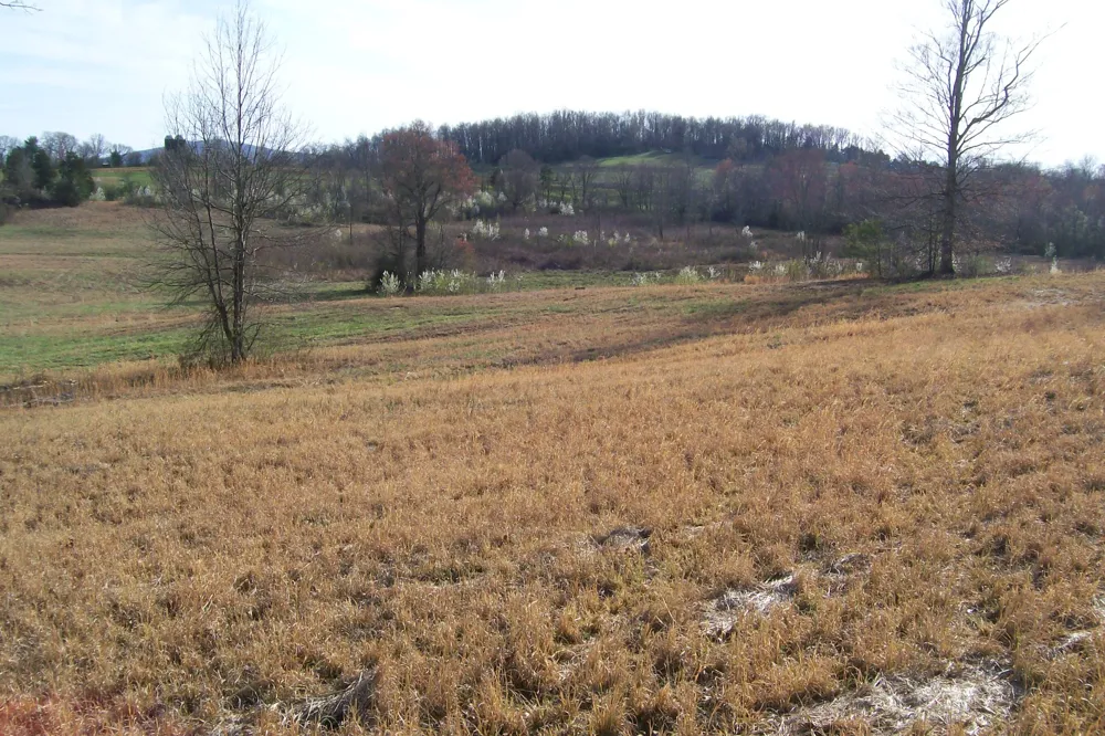 0 Rock Station Road Rock Island, TN 38581