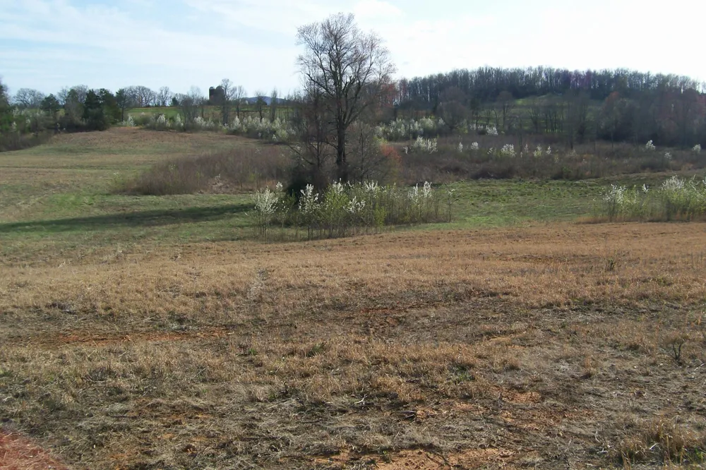 0 Rock Station Road Rock Island, TN 38581