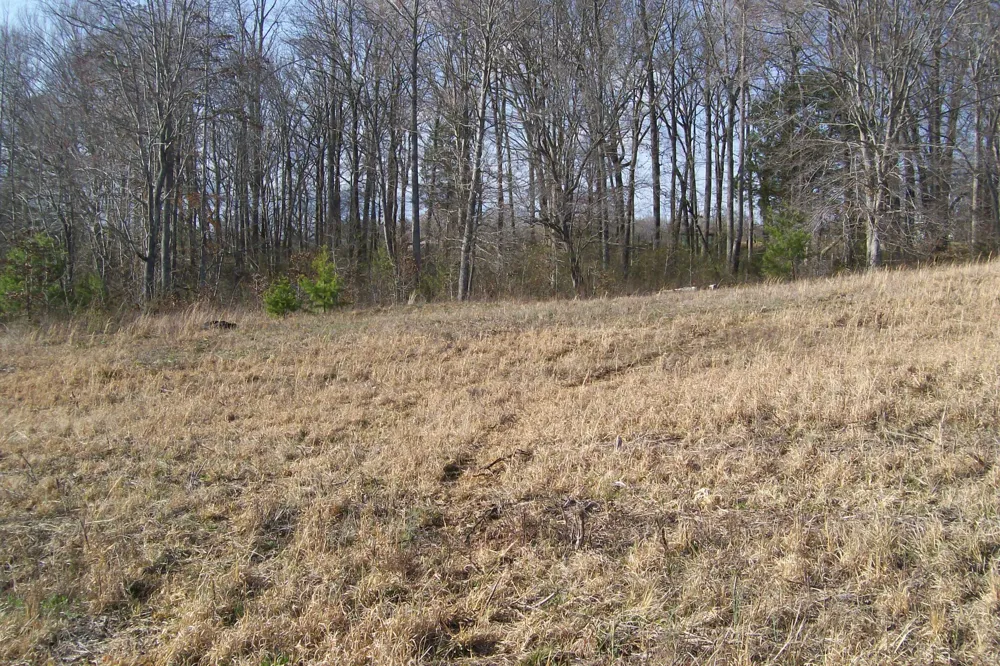 0 Rock Station Road Rock Island, TN 38581