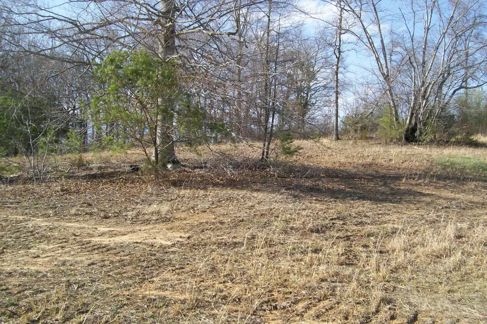 0 Rock Station Road Rock Island, TN 38581