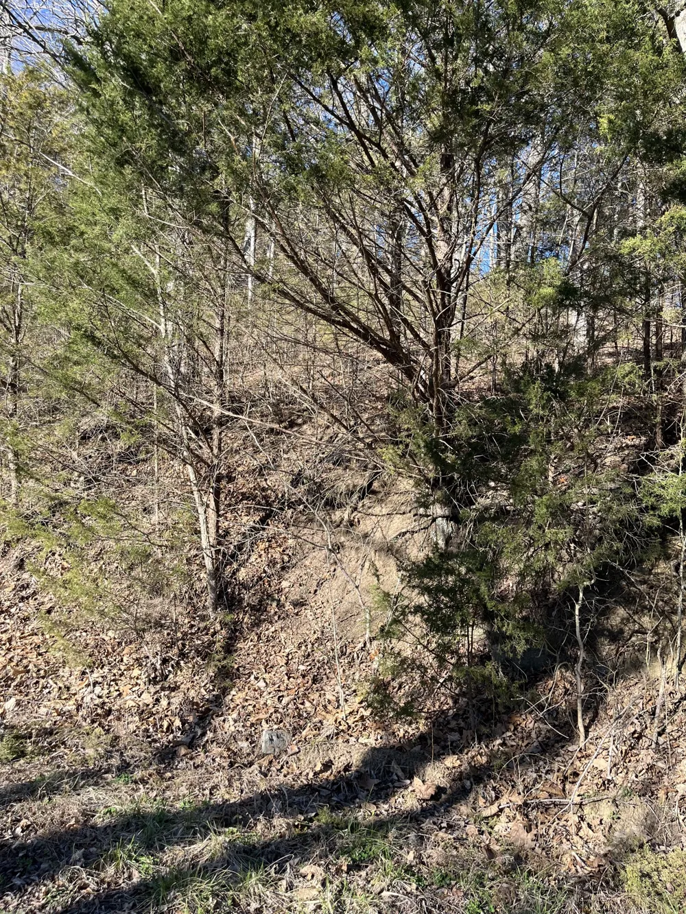 0 Davis Hollow Dowelltown, TN 37059