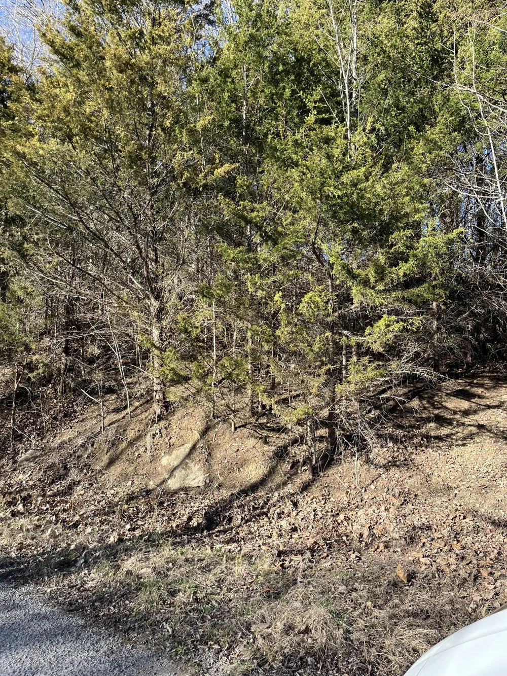 0 Davis Hollow Dowelltown, TN 37059