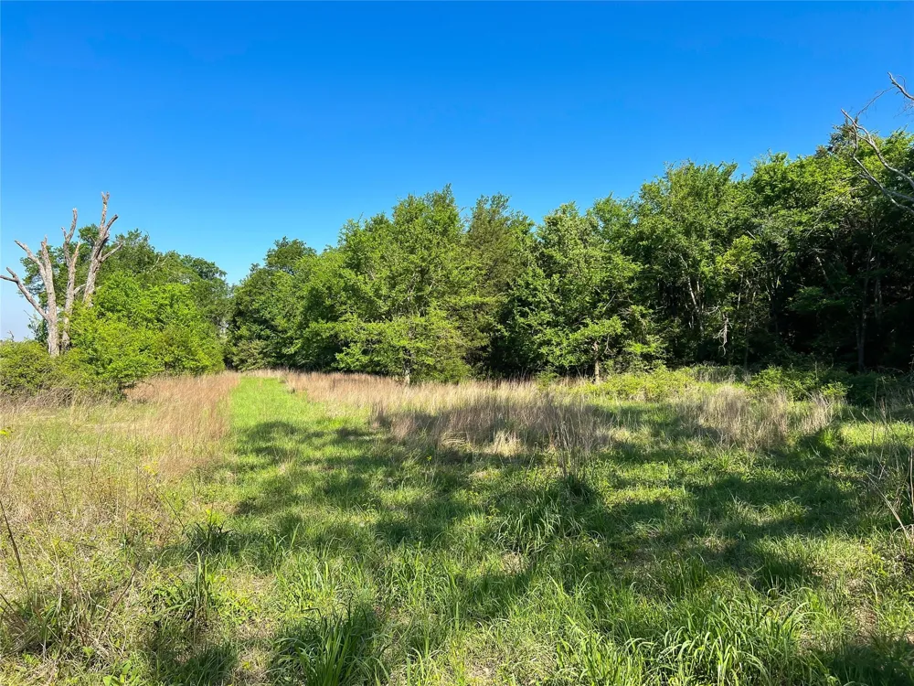 Cr 344 Marquez, TX 77865