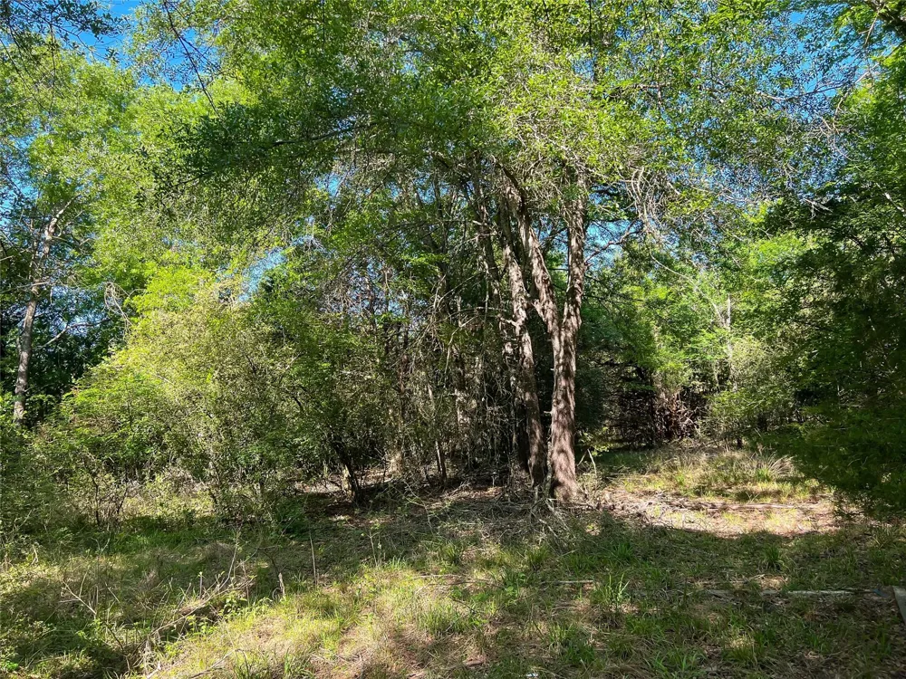 Cr 344 Marquez, TX 77865
