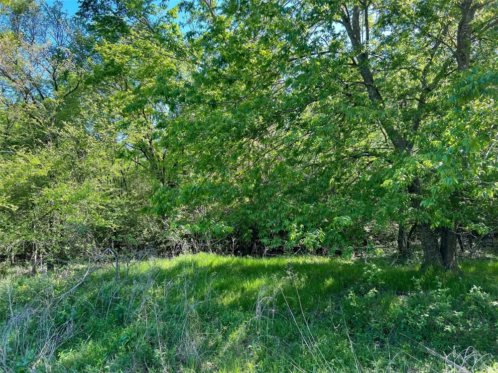 Cr 344 Marquez, TX 77865