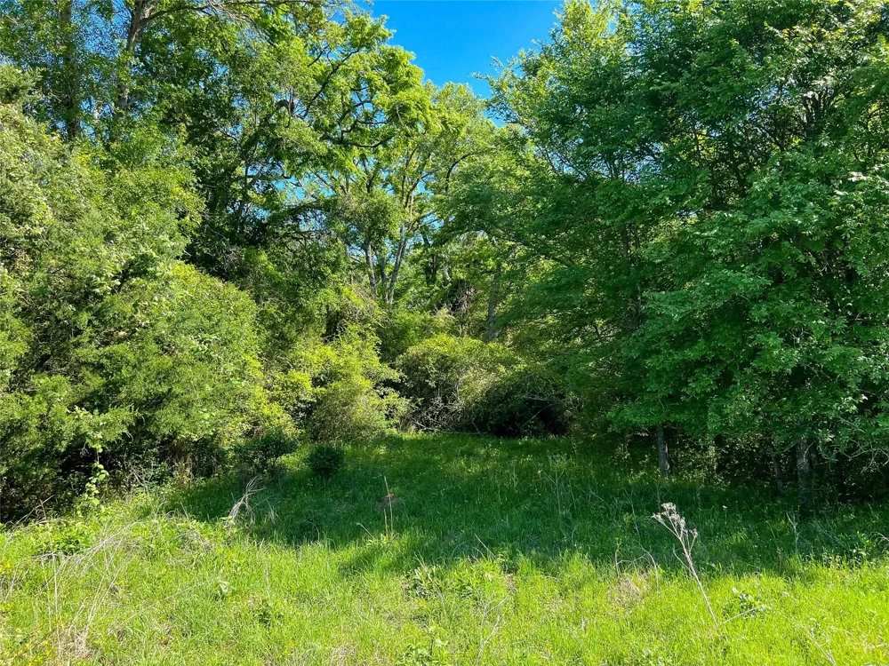 Cr 344 Marquez, TX 77865