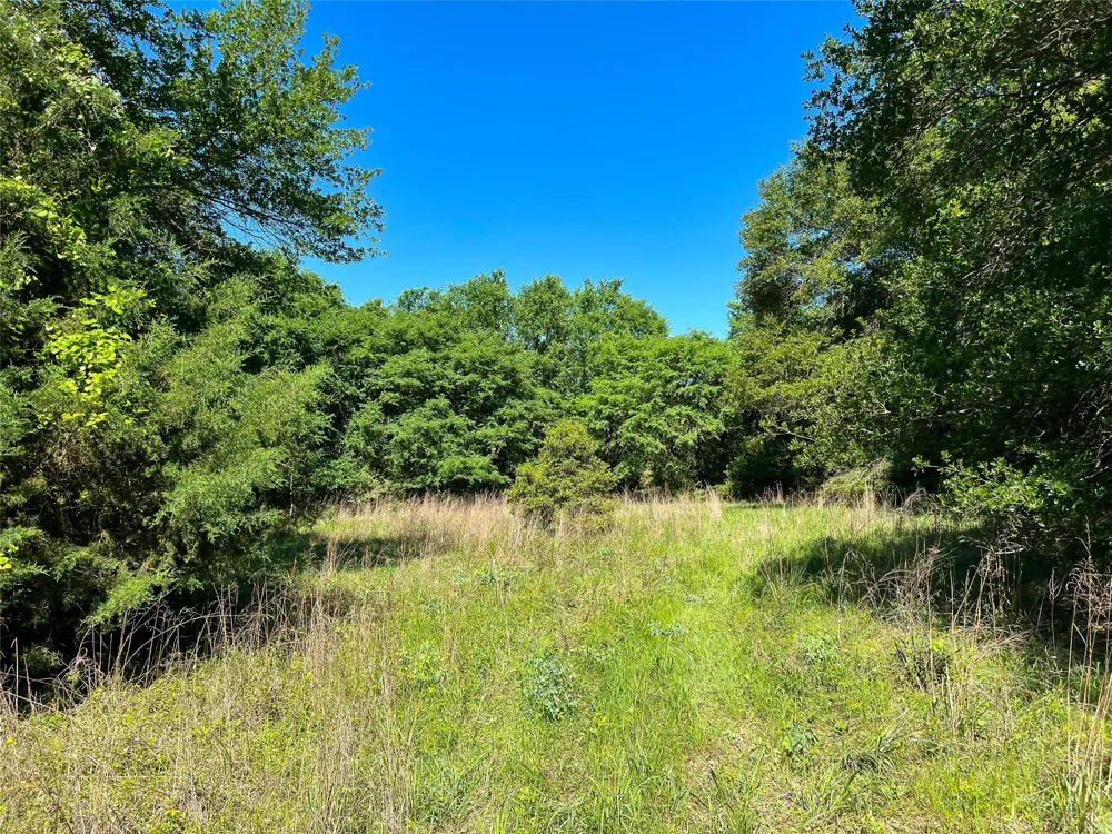 Cr 344 Marquez, TX 77865