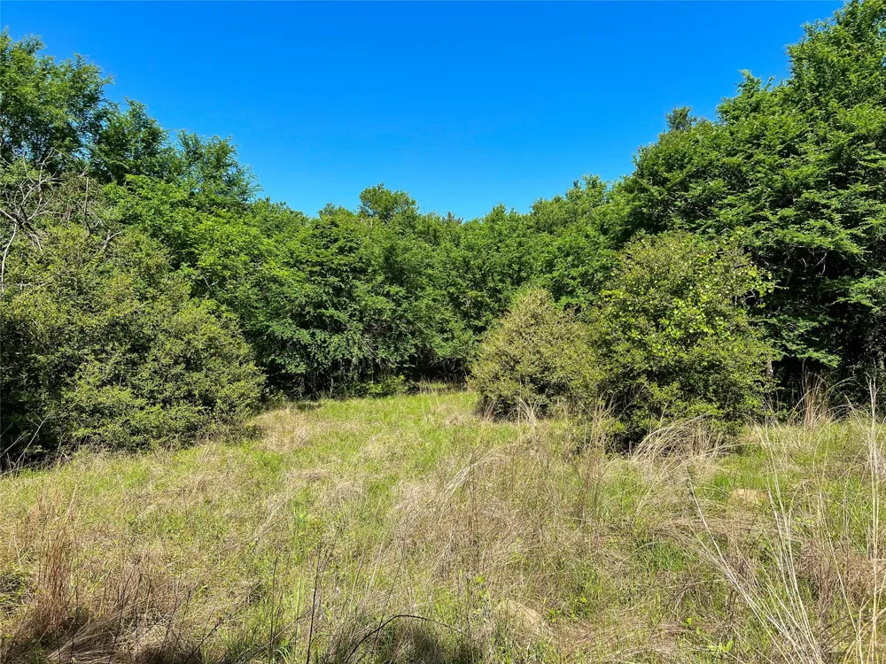 Cr 344 Marquez, TX 77865
