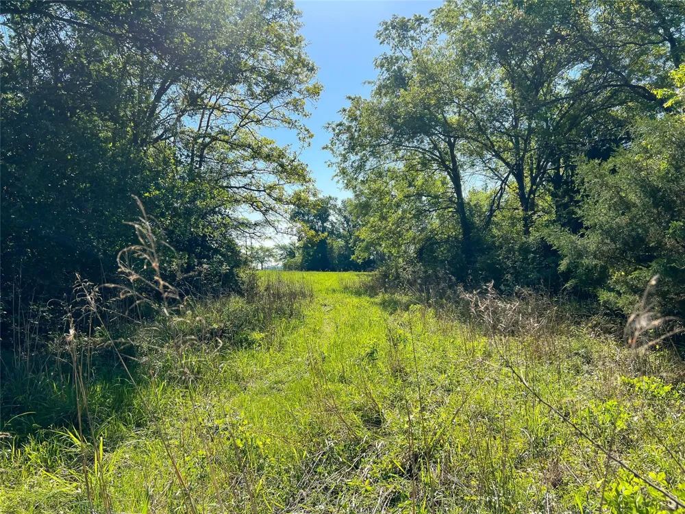 Cr 344 Marquez, TX 77865