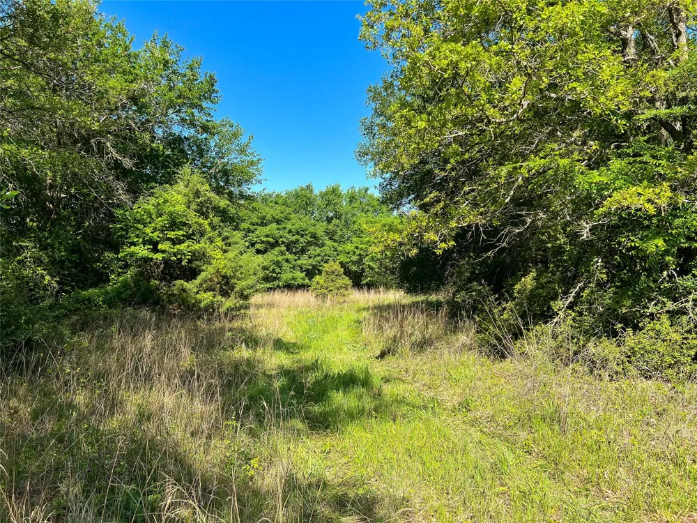 Cr 344 Marquez, TX 77865