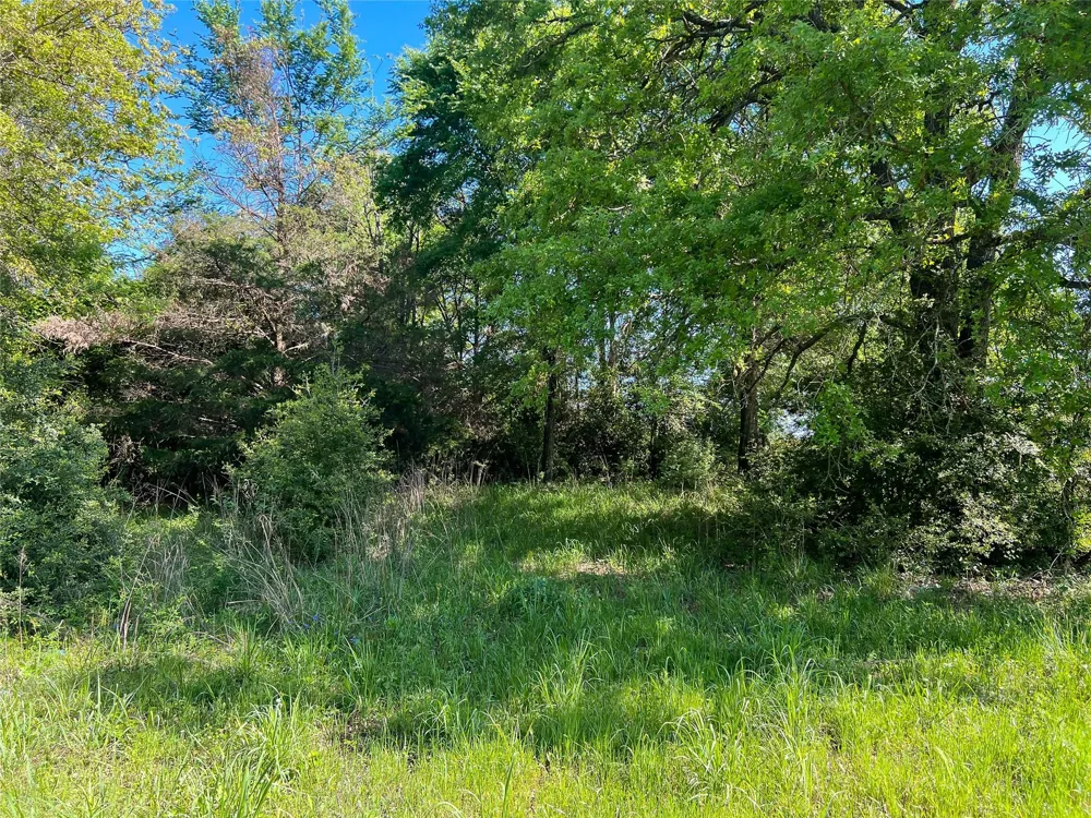 Cr 344 Marquez, TX 77865