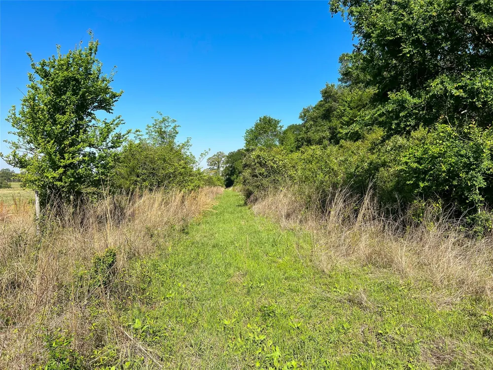 Cr 344 Marquez, TX 77865
