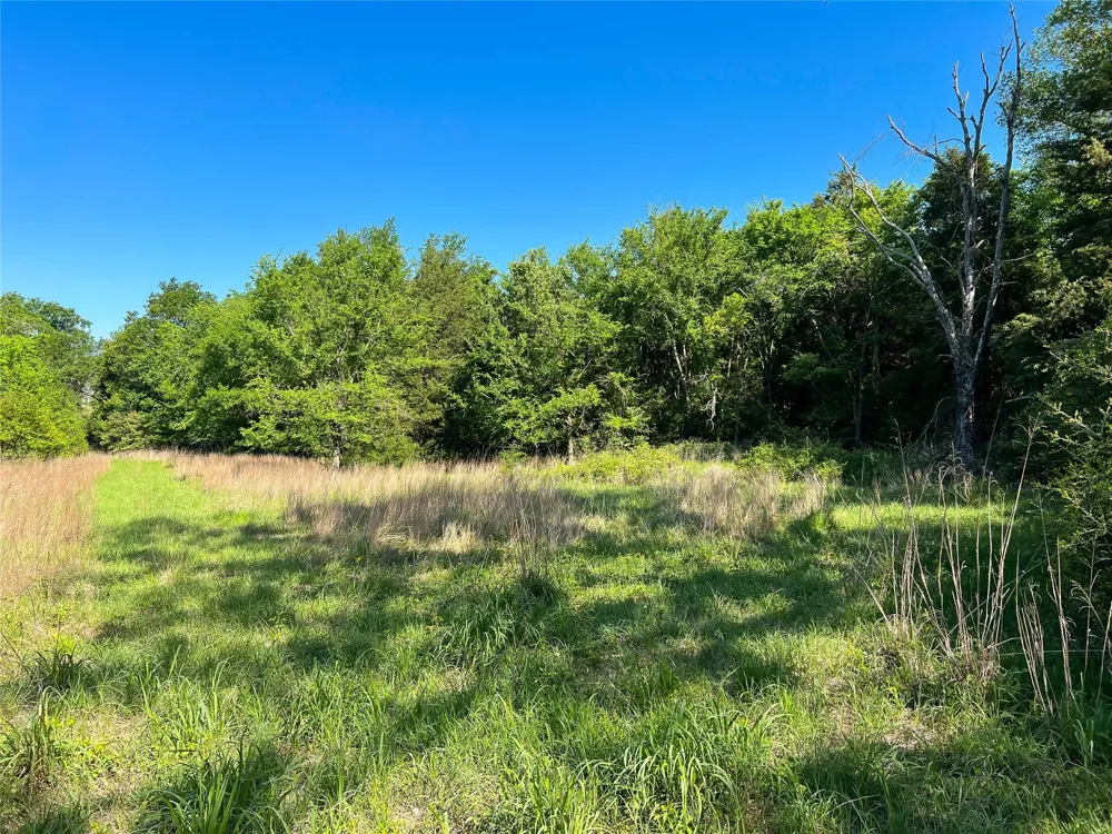 Cr 344 Marquez, TX 77865