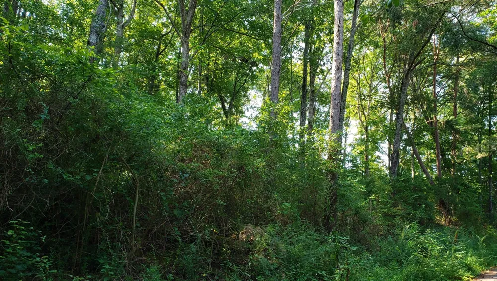 0 Treeline Drive Dunlap, TN 37327