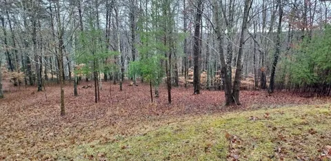 0 Wilderness Lane