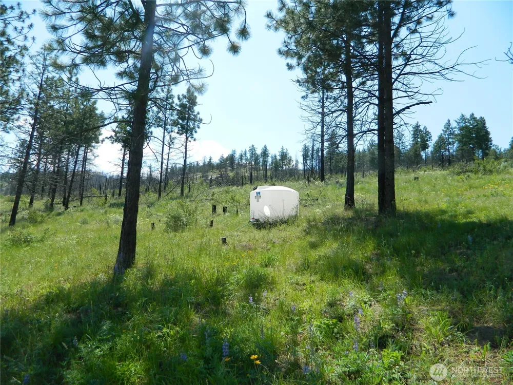 428 Five Mile Road Tonasket, WA 98855