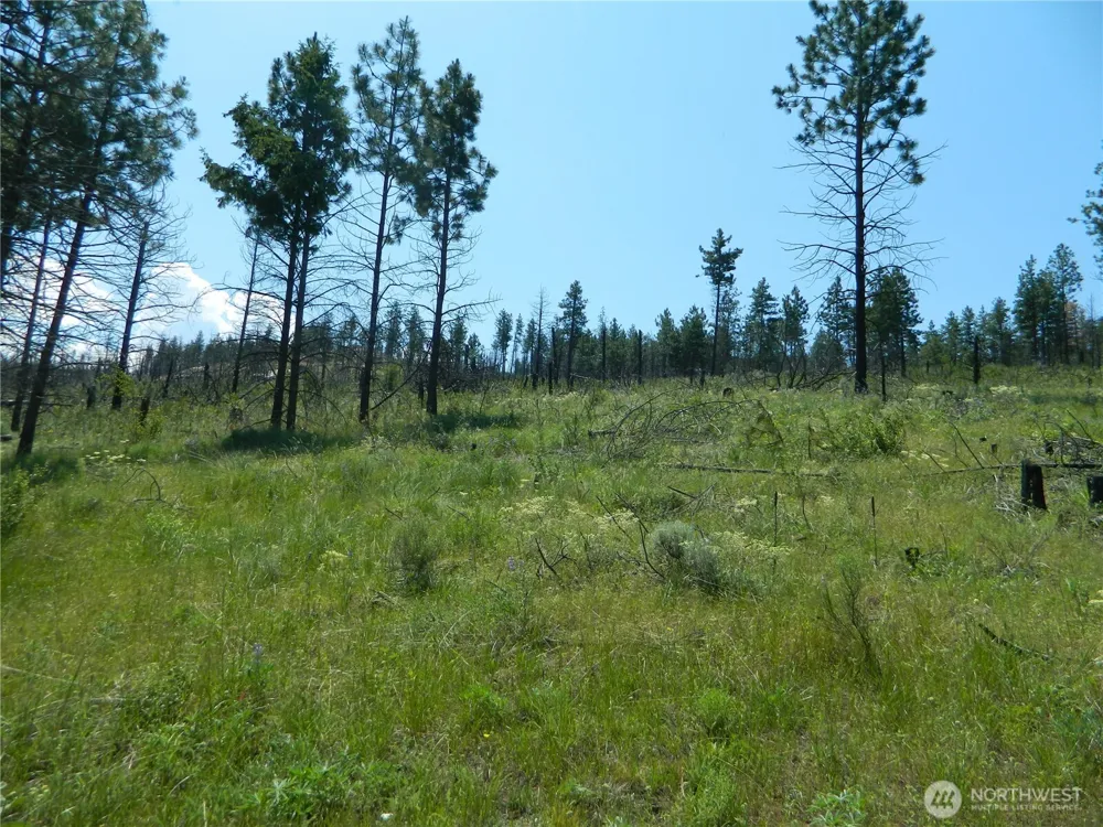 428 Five Mile Road Tonasket, WA 98855