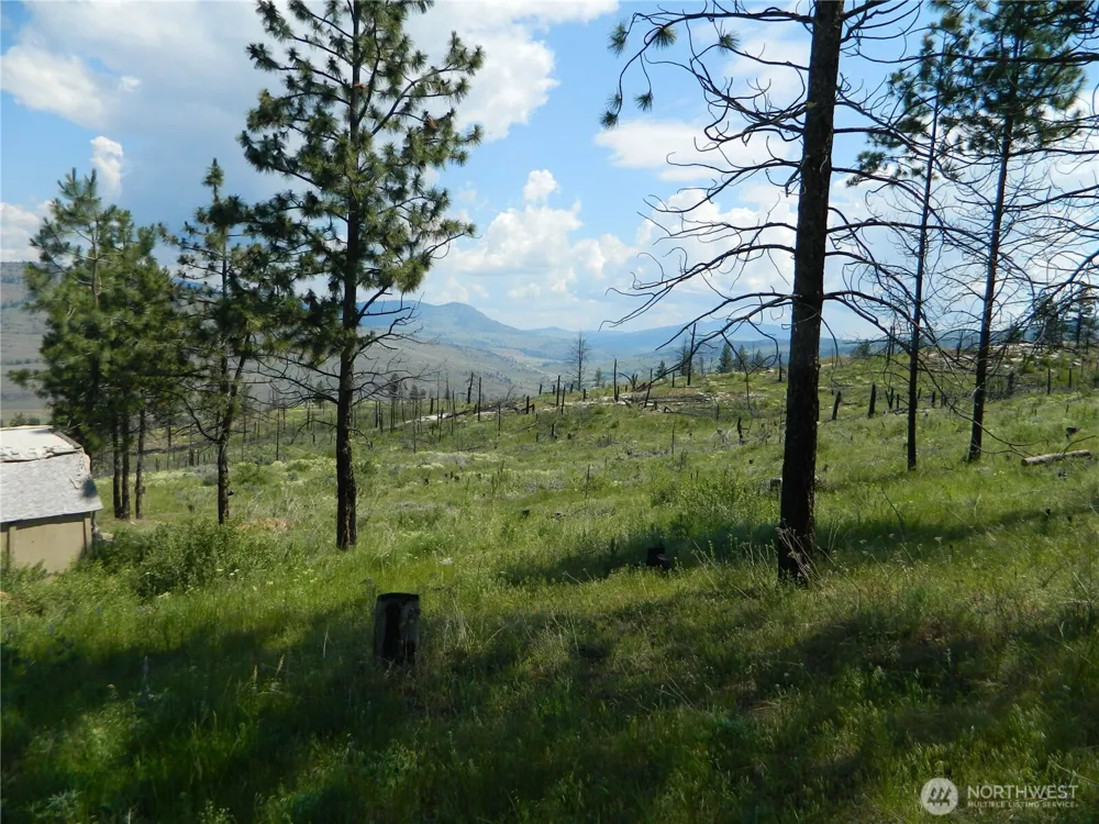 428 Five Mile Road Tonasket, WA 98855