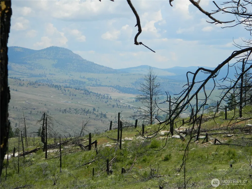 428 Five Mile Road Tonasket, WA 98855
