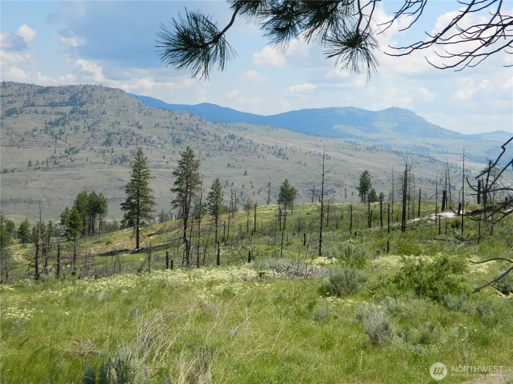428 Five Mile Road Tonasket, WA 98855