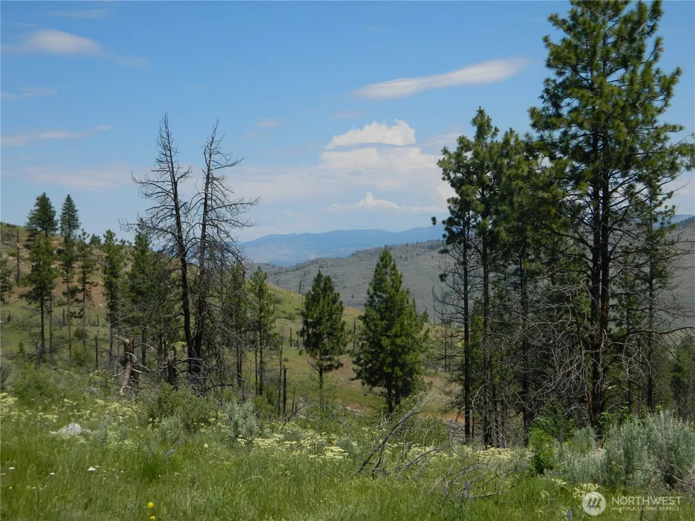 428 Five Mile Road Tonasket, WA 98855