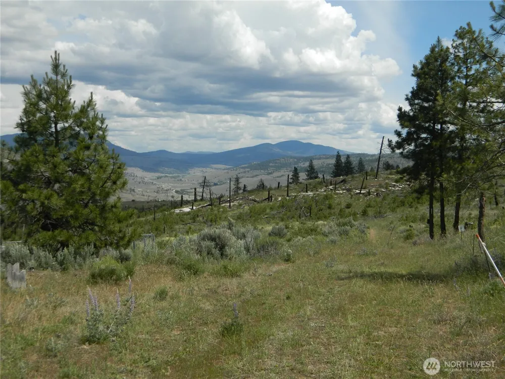 428 Five Mile Road Tonasket, WA 98855