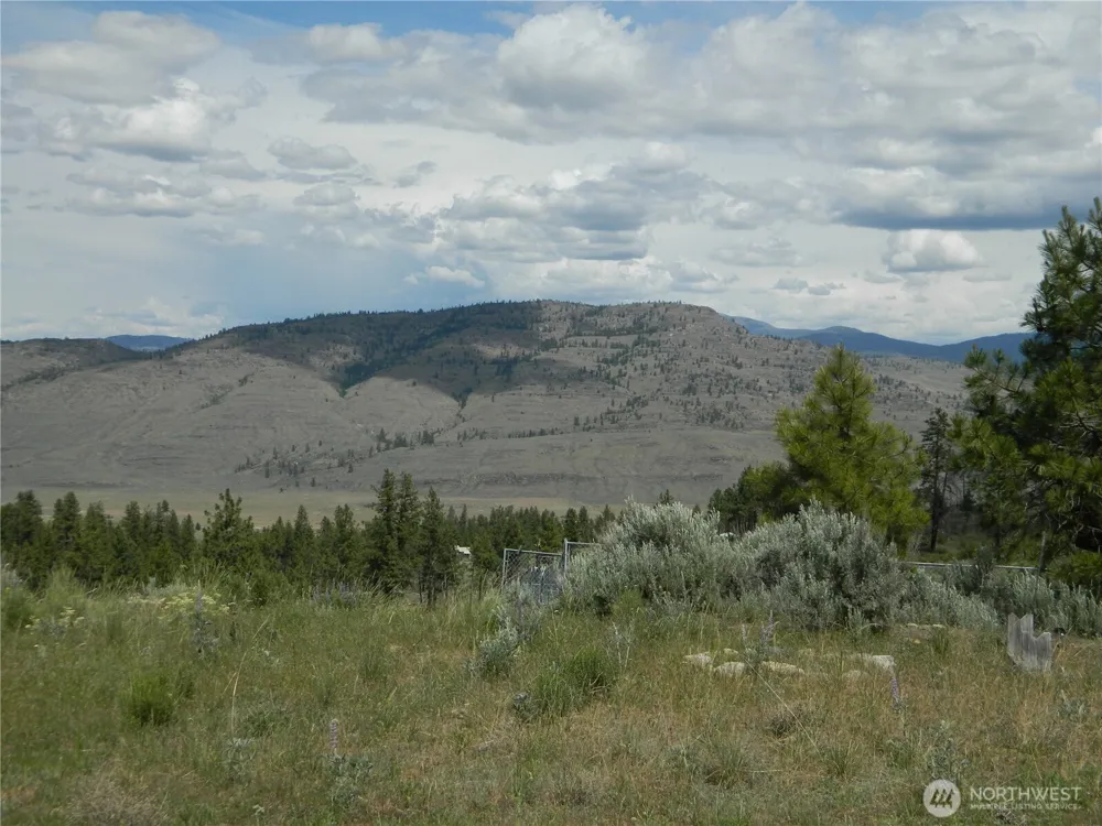 428 Five Mile Road Tonasket, WA 98855