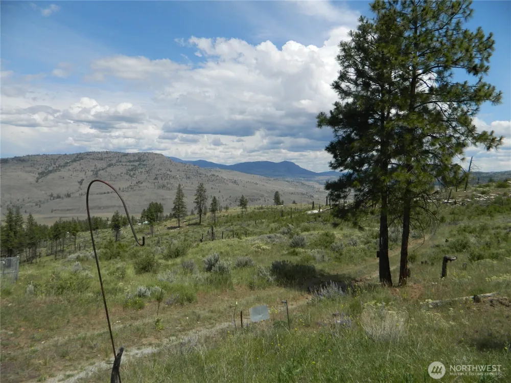 428 Five Mile Road Tonasket, WA 98855