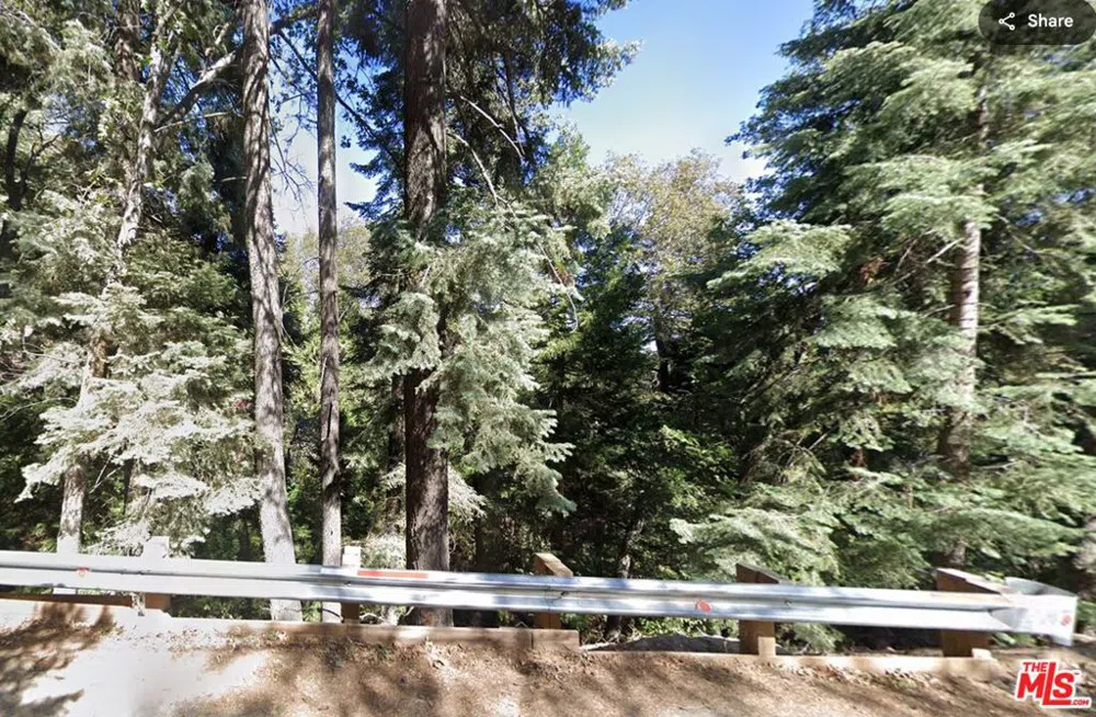 Community Drive Lake Arrowhead, CA 92352