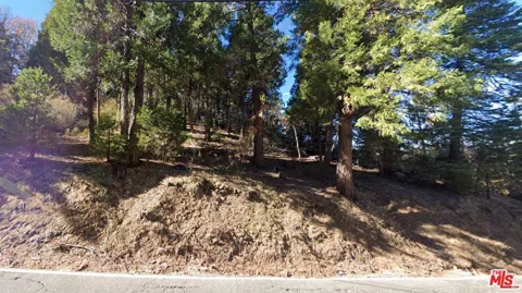 Ponderosa Drive