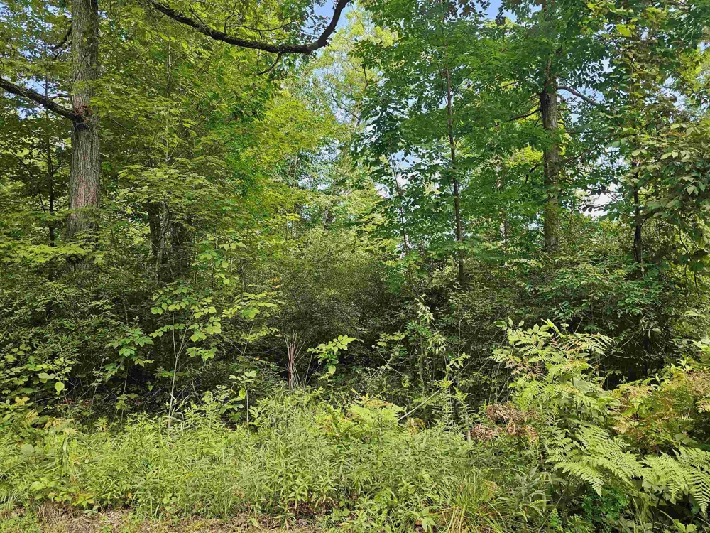 Oak Lane Hill Township, MI 48739