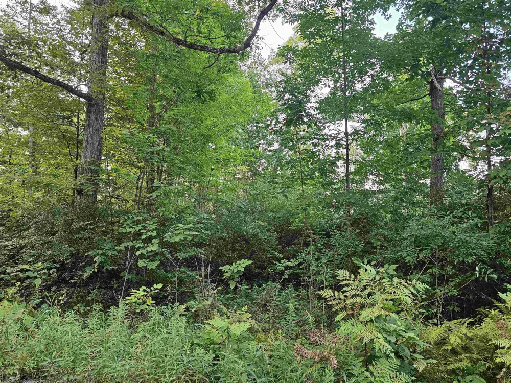 Oak Lane Hill Township, MI 48739