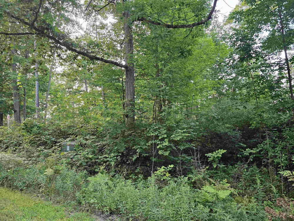 Oak Lane Hill Township, MI 48739
