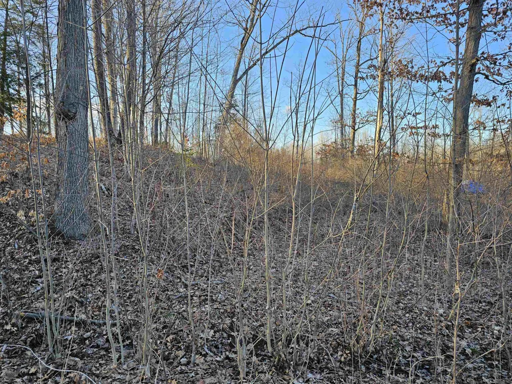 Oak Lane Hill Township, MI 48739