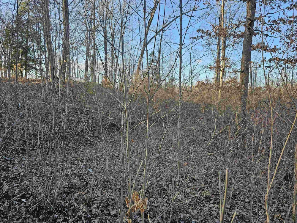 Oak Lane Hill Township, MI 48739