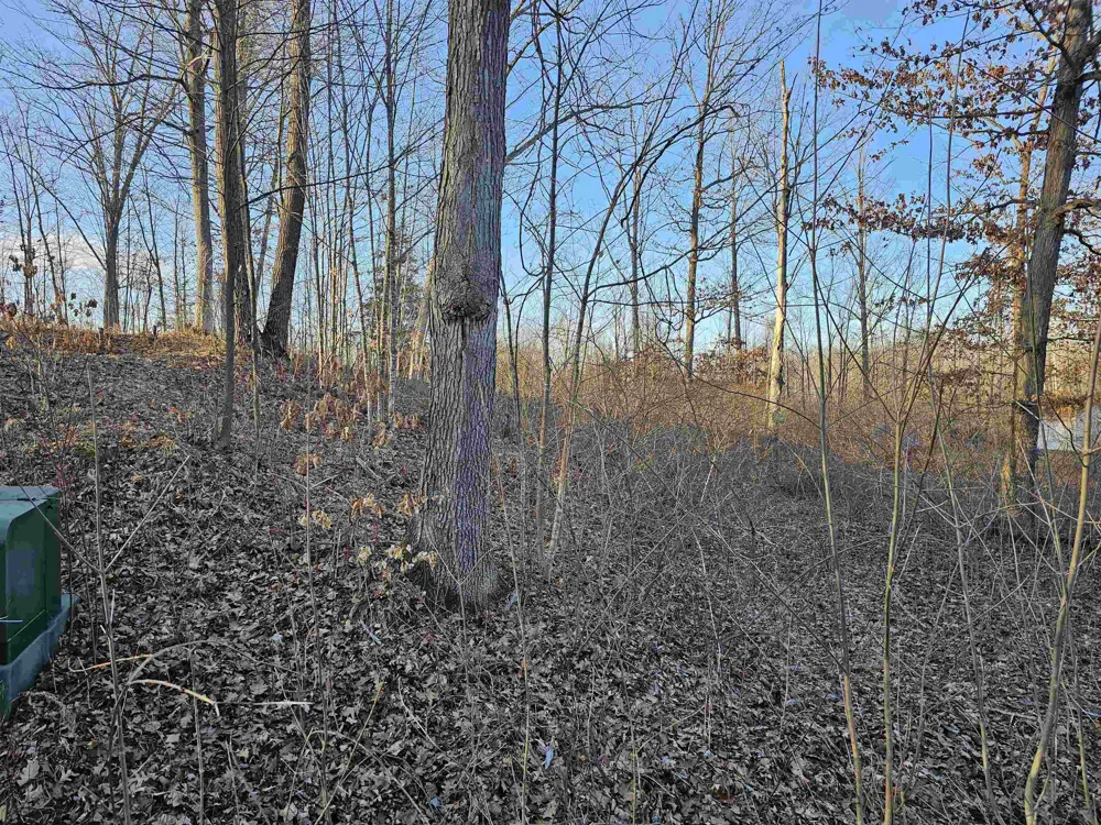 Oak Lane Hill Township, MI 48739