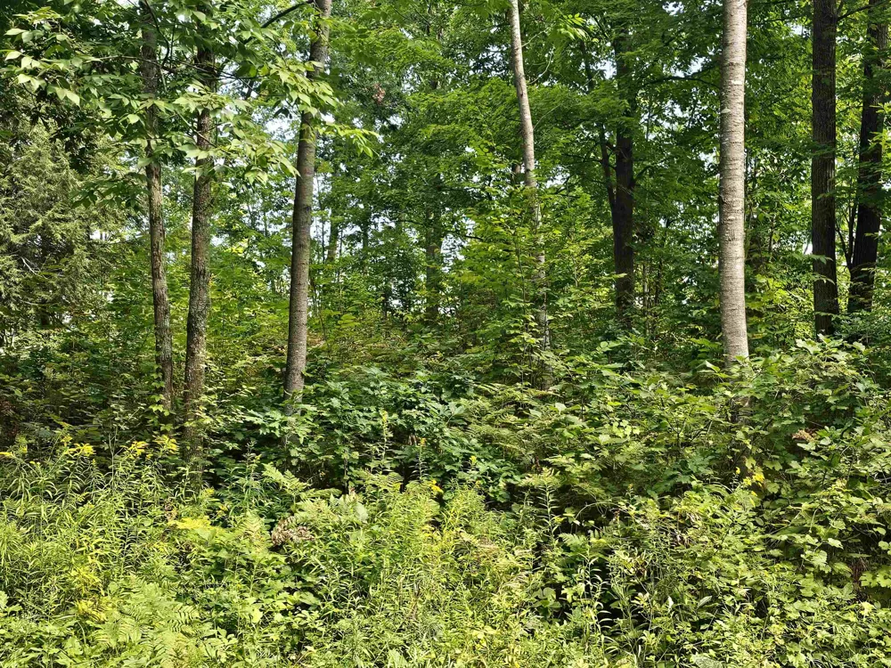 Oak Lane Hill Township, MI 48739