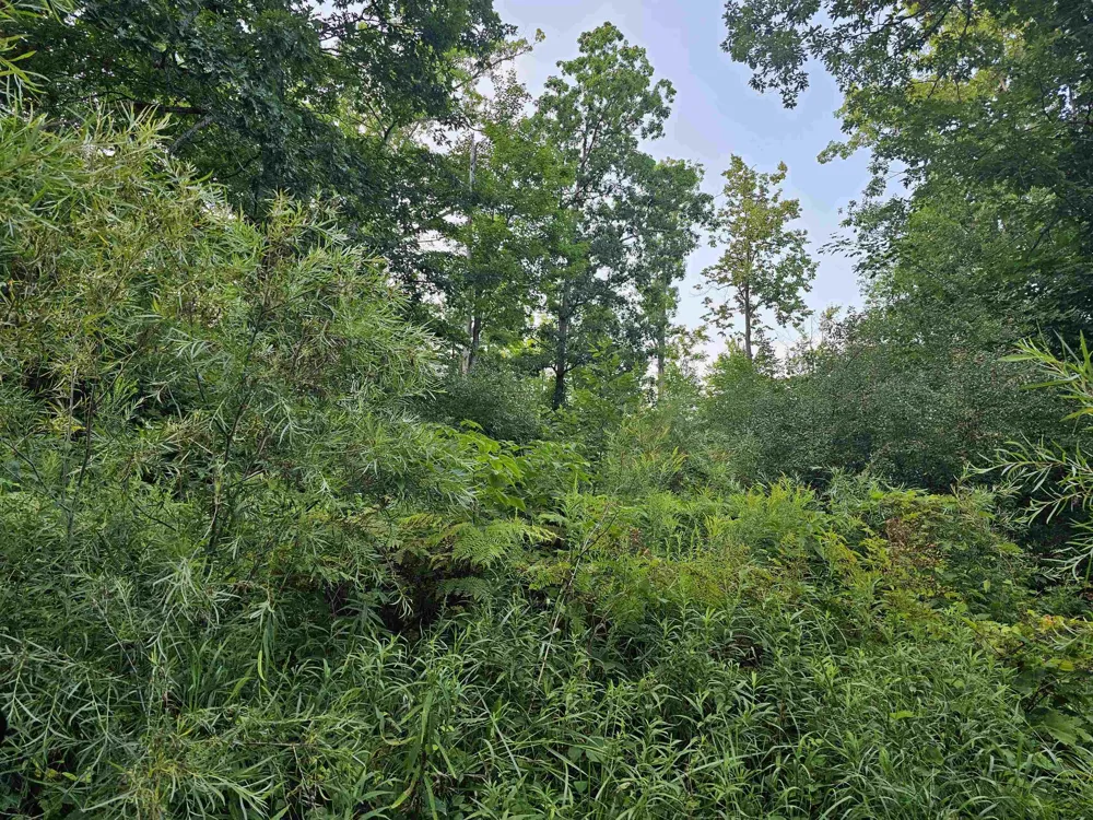 Oak Lane Hill Township, MI 48739