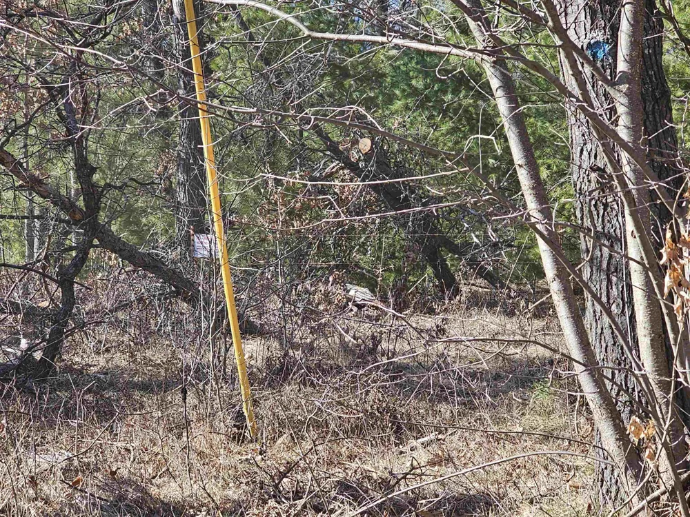 Oak Lane Hill Township, MI 48739
