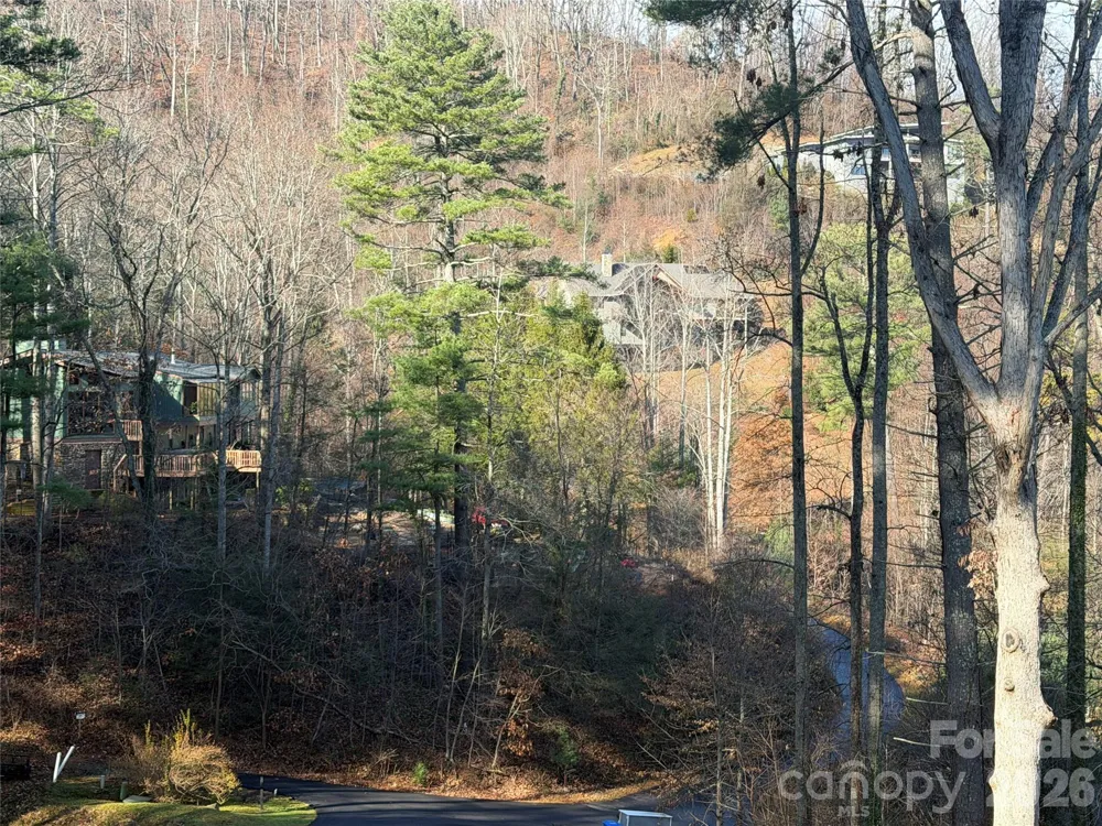 42 Spring Cove Road Asheville, NC 28804